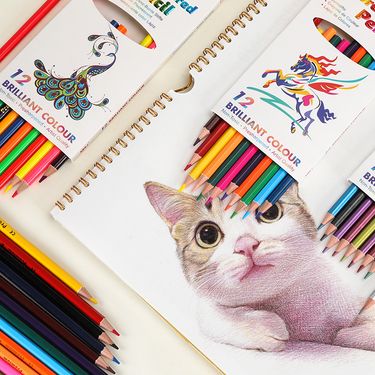 12-Color Watercolor Pencils Set, Vibrant & Blendable Art Supplies For Kids & Adults, Premium Wooden Hexagonal Pencils For Sketching_voghion.com
