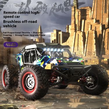 Professional Brushless RC Remote Control Toys Adult 4WD High Speed Rally Off Road Racing Boy Car_voghion.com