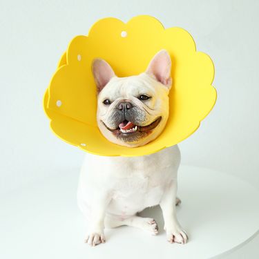 KomHom Elizabethan Sunflower EVA Protective Pet Dog Anti-Lick Head Collar Anti-Bite_voghion.com