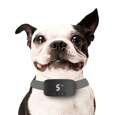 2024 New Touch Dog Training Device Pet Supplies Black And White Available Precise Anti-Barking_voghion.com