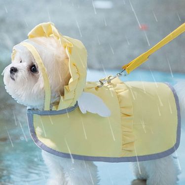 Minimalist Candy Colored Angel Raincoat For Small Cats. It Can Be Used To Tow Pet Dogs In Spring And Summer When Going_voghion.com