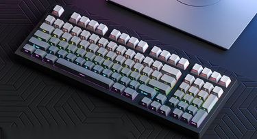 Ruiyi F98 Mechanical Wired 98 Layout Hot-Swappable Office Gaming Gradient Side Engraving Keyboard_voghion.com