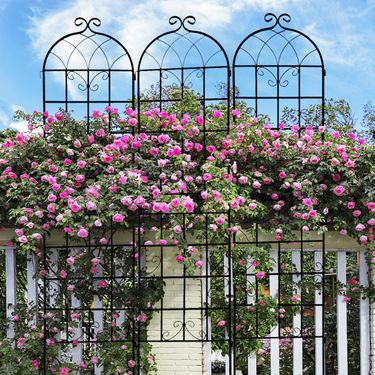 4 Pack Metal Garden Trellis 86.7" X 19.7" Rustproof Trellis For Climbing Plants Outdoor Flower Support Black_voghion.com