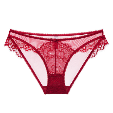 ultra-thin lace panties sexy sexy temptation translucent large size panties breathable ladies low waist briefs_voghion.com