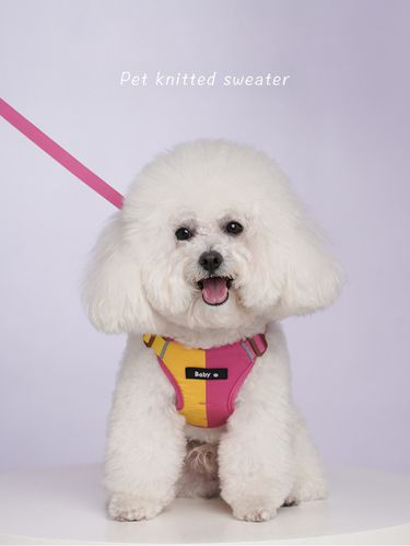 1 Set Of Reflective Pet Harness & Leash - Two-Tone, Vest-Style Walking Leash For Small Dogs_voghion.com