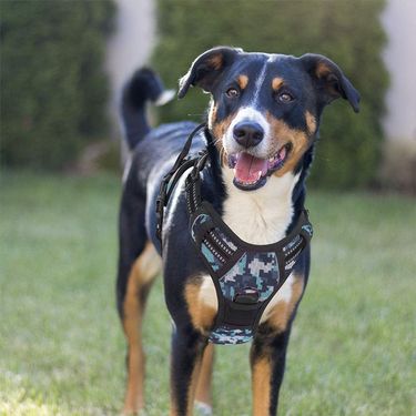 New Medium Large Vest Style Pet Harness Anti-Lost Dog Walking Leash_voghion.com