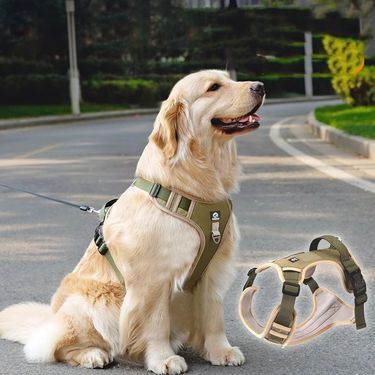 Pet Chest Harness Vest Style Large Dogs Explosion Proof Flushing Traction Rope Dog Outdoors Go Out Play Traction Rope_voghion.com