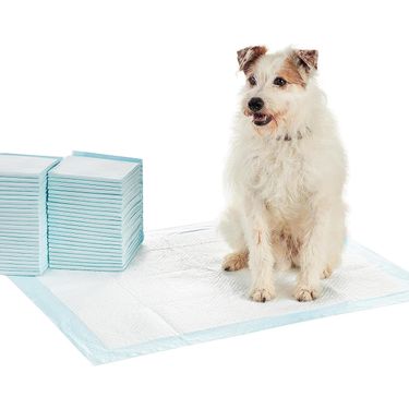 Pet pad Thickened Deodorant Cat and dog pad Pet diaper disposable absorbent pad diaper diaper_viptrois.com