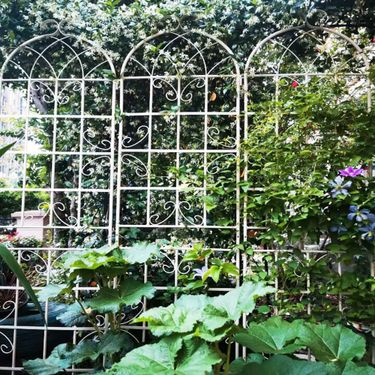 2 Pack Metal Garden Trellis 86.7" X 19.7" Rustproof Trellis For Climbing Plants Outdoor Flower Support Cream White_voghion.com