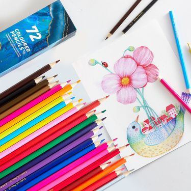 TS Professional Wooden Oil-Based Colored Pencils Set (12/24/36/50/72 Colors) - 3B Soft Core For Sketching, Drawing & Doodling_voghion.com