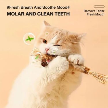 1 Pc Cat Toys Silvervine Sticks For Cats Silvervine Cat Toys Cat Teething Toys, Catnip Chew Sticks Edible Kitty Toys For Indoor Cats_voghion.com