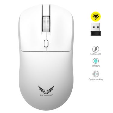 Budget Wireless Mouse - 2.4G Plug & Play Optical Mouse For Laptop/PC, Silent & Durable | Universal Compatibility_voghion.com