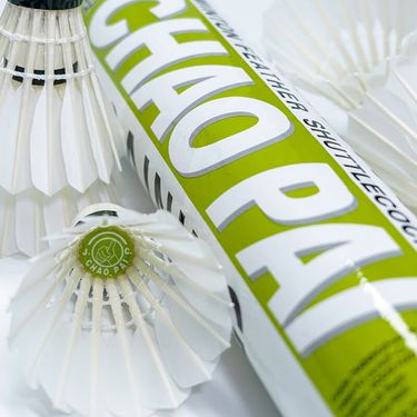 Brand Goose Feather Training Amateur Competition Use Badminton Shuttlecocks Light Green Super Single Tube 12-Pack_voghion.com