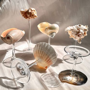 Home Garden Popular Natural Conch Shell Wine Glass Sea Shell Goblet Suitable For Picnic Camping Party Birthday Wine_voghion.com
