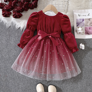 Girls' Fall/Winter Velvet Gradient Gauze Princess Dress_voghion.com