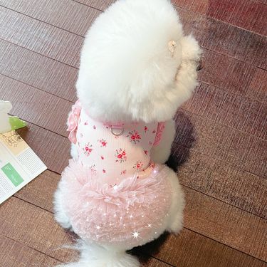 New Cute Style Ice Silk Cotton Pet Dog Cat Fluffy Dress Teddy Bichon Leash Clothes_voghion.com