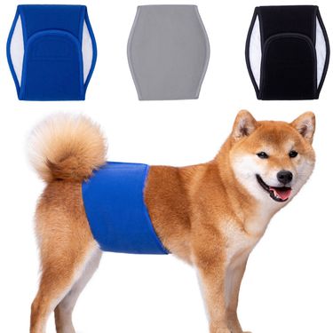 Pet physiological with male dog courtesy with dog physiological with pet diaper leak-proof diaper factory outlet_viptrois.com