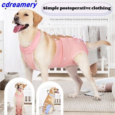 Dog Surgical Set, Pet Recovery Set, Surgical Set For Dog Sterilization, Bandage Style, Simple Postoperative Clothing, For Sterilized Skin Condition In_voghion.com