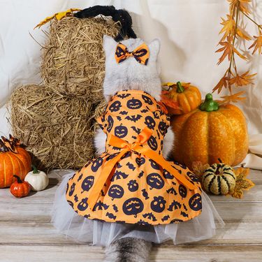 Hot Selling Halloween Supplies Clothes Wizard Pet Dog Costume Bat Dress Day_viptrois.com