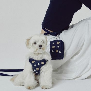 Korean INS 3D Embroidery Cute Bear Breathable Chest Harness Set Teddy Bichon Dog Outdoor Leash_voghion.com