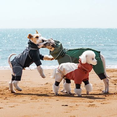 Dog Four-Legged Raincoat Waterproof Wear-Resistant Lightweight Jacket Pet-Specific Rainy Day Full Coverage Windproof Pet_voghion.com