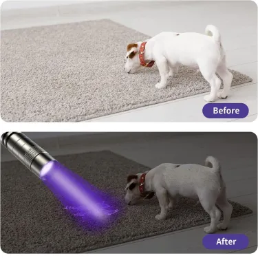 UVFlashlight395nmUltravioletTorchWithPenClipPortableAAABatteriesUsedVioletLightPetUrineScorpionDetectorUVLamp_voghion.com