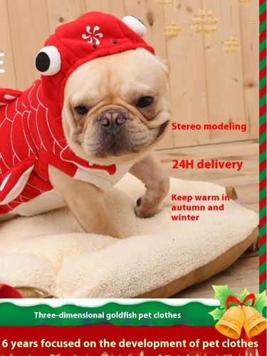 Autumn new goldfish transformation outfit, small dog, two legged cat clothes, hooded hoodie, pet dog clothes_voghion.com