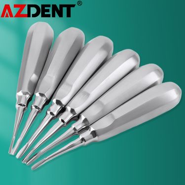 6pcs/Set Stainless Steel Dental Straight Curved Root Elevator Dentistry Surgical Screwdriver Lab Tools Instrument Kit_voghion.com