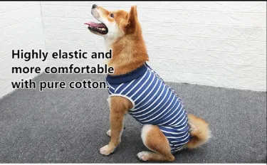 New Type Of Canine Rehabilitation Abdominal Wound Puppy Surgical Suit, Postoperative Vest, And Pet Postoperative Wear Items_voghion.com