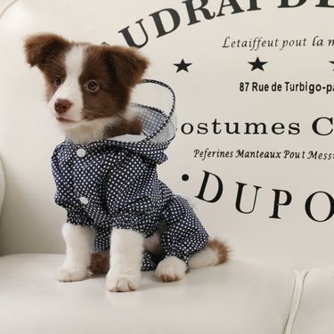 Dog Korean Style Polka Dot Summer Outdoor Four-Legged Waterproof Dustproof Clothes Puppy Pet Raincoat 2019 New Model_voghion.com
