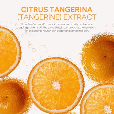 FENYI Fenyi Vitamin C Essence Cream 40g Moisturizing Moisturizing Cream Face Cream Skin Care_voghion.com