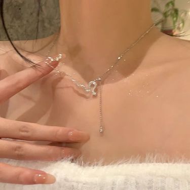 Pure Silver Necklace For Women, Light Luxury, Ins Style, Niche, High-End Feel, Versatile, Of The Snake Tassel Sweater_voghion.com