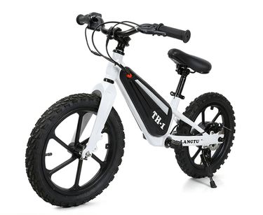 16inch Mini Balance Children, Two-Wheel Pedalless Off-Road Electric Bicycle, Power-Assisted Sliding Scooter For Export_voghion.com