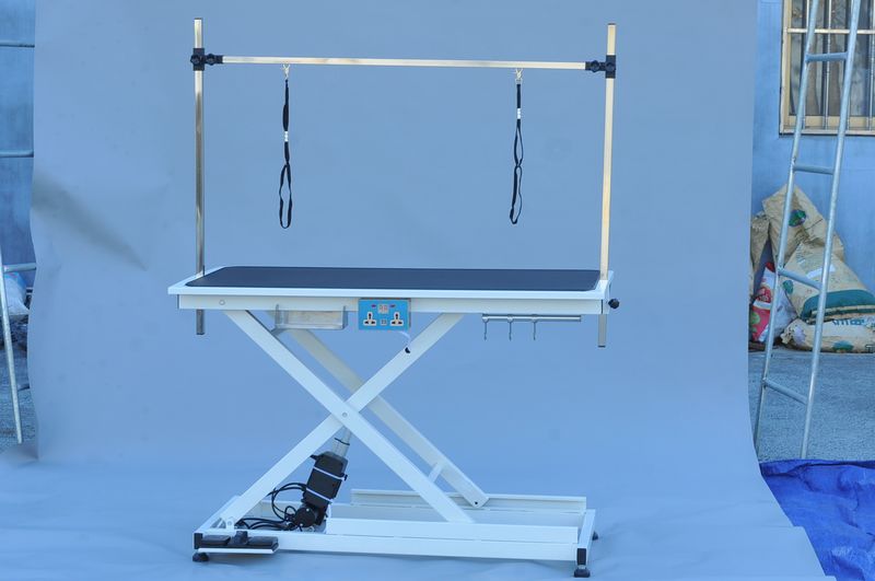 super Deluxe electric pet grooming table;  110V/220V professional groomer recommend height adjust from 8 up to 36inch_voghion.com