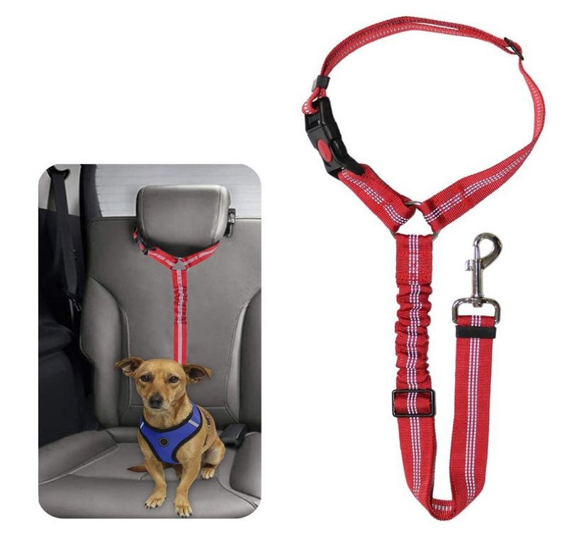 Pet Supplies Car Seat Belt Round Ring Dog Retractable Elastic Reflective Glow-in-the-Dark Cat Leash_voghion.com