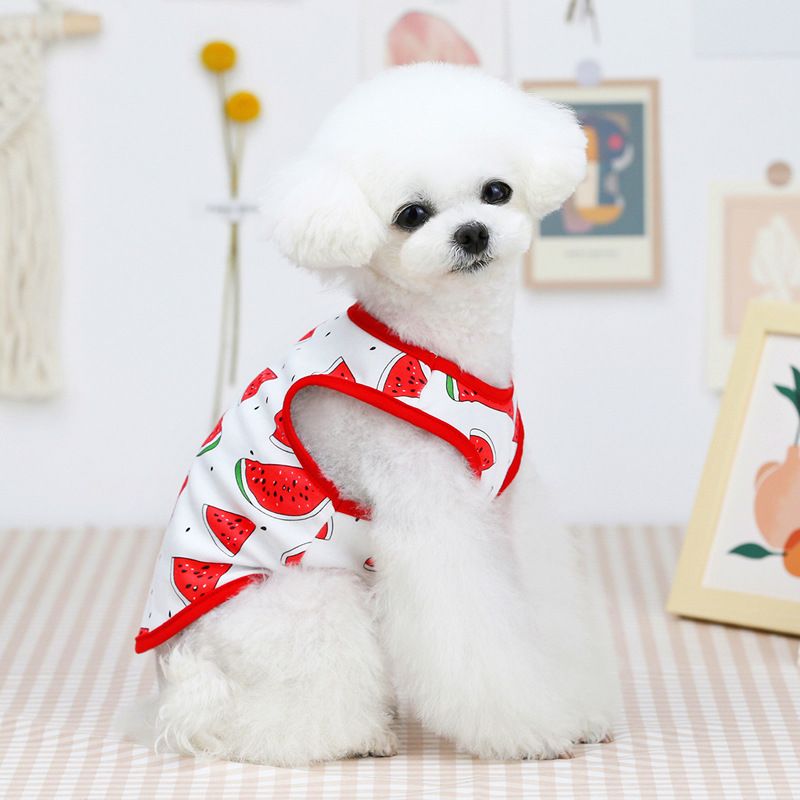 Sommer Neue Teddy Hund Haustier Kleidung 21 Bunte Obst Tank Top Nette Dünne Stil_voghion.com