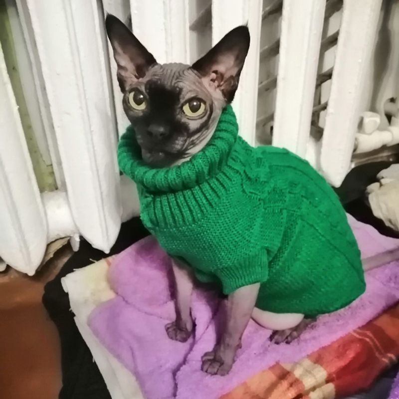 Autumn And Winter Sweater, Chihuahua For Small Dogs, Solid Color Caramel Dog Clothes, Pet Clothes By PawParty Store_voghion.com