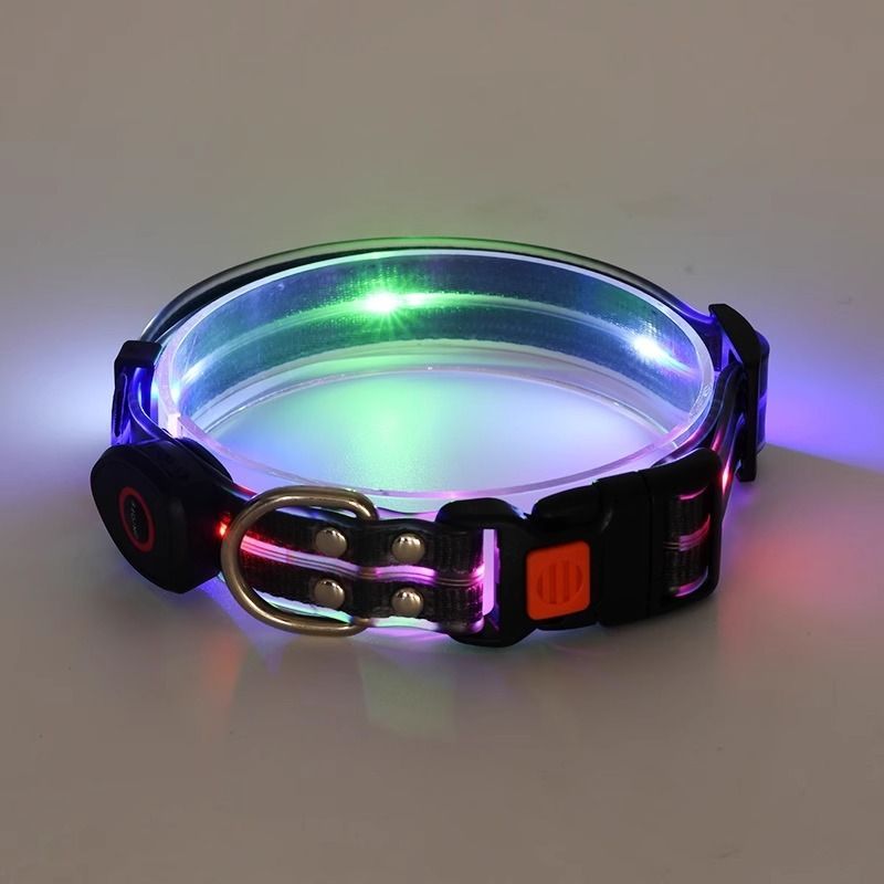 Coleira luminosa anti-perda para caminhada noturna com luz para cães_voghion.com