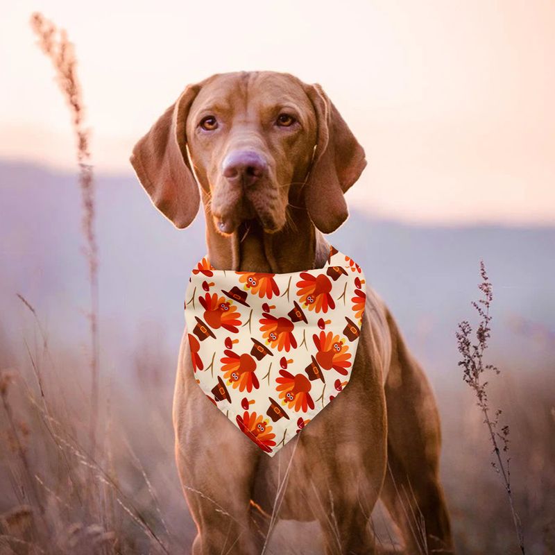 Senniea Autumn Hundehalstuch aus Polyester_voghion.com