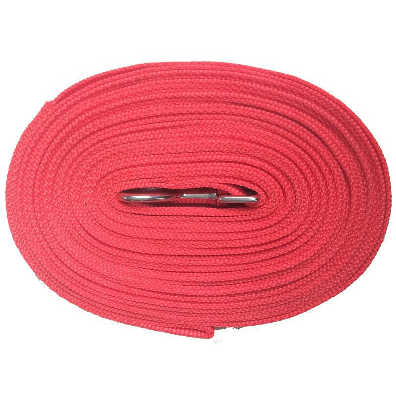 Pujiang Sanlian Pet Supplies Cinghia 10m 15m Guinzaglio Catena per Cani_voghion.com