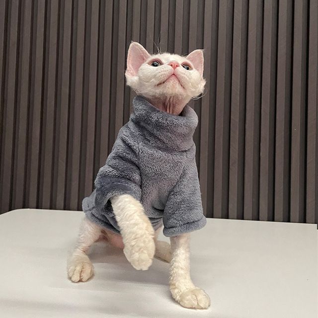 Winter Warm Hairless Small Medium Dogs, Turtleneck, Sweater, Jacket Puppies And Cats, Coat, Clothing For Cats Chihuahua By PawParty Store_voghion.com