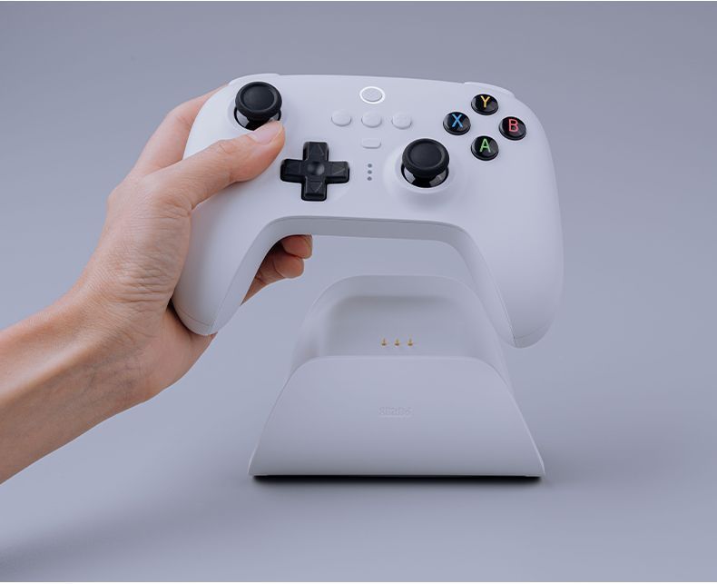 Manette de jeu sans fil 8BitDo Orion Hall 2,4 g pour PC, ordinateur Steam, Horizon 5, Monster Hunter, Android_voghion.com