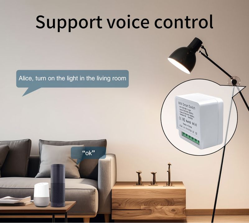 16A/20A WiFi Mini Akıllı Anahtar Modülü 2 Yönlü Cozy Life APP Uzaktan Kumandası Alexa Google Ev Otomasyonu Ses Kontrolü_voghion.com