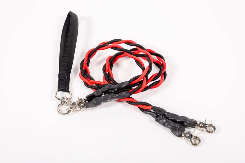 Neue Bungee Creative Doppelte Elastische Hundeleine_voghion.com