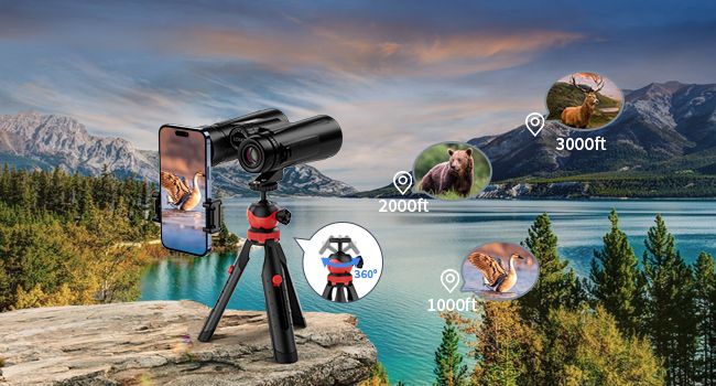 Binoteck 12x42 adult high-power - compact BAK4 binoculars tripod phone adapter with transparent low light, suitable for_voghion.com