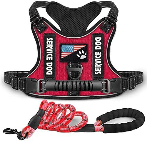 New Explosion-Proof Shock Absorption Night Vision Reflective Pet Chest Harness Vest-Style Leash_voghion.com