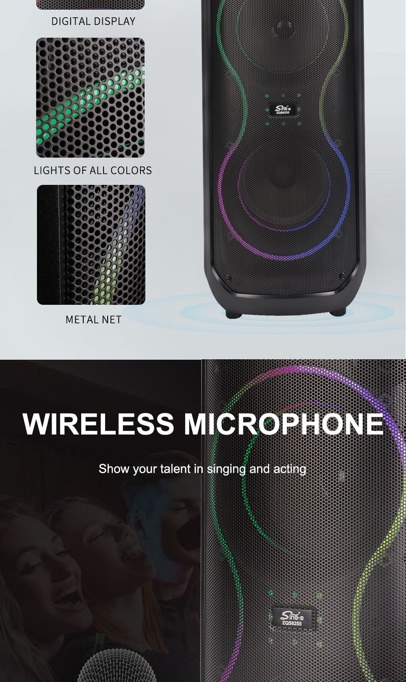 ZQS8255 Dual 8 polegadas RGB Light Charging Bateria de longa duração Microfone externo prático Alto-falante Bluetooth_voghion.com
