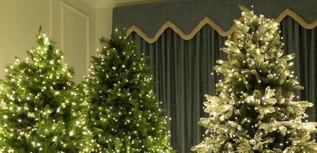 Árvore de Natal com controle remoto, 100m de fio de cobre com luzes LED verdes, céu estrelado._voghion.com