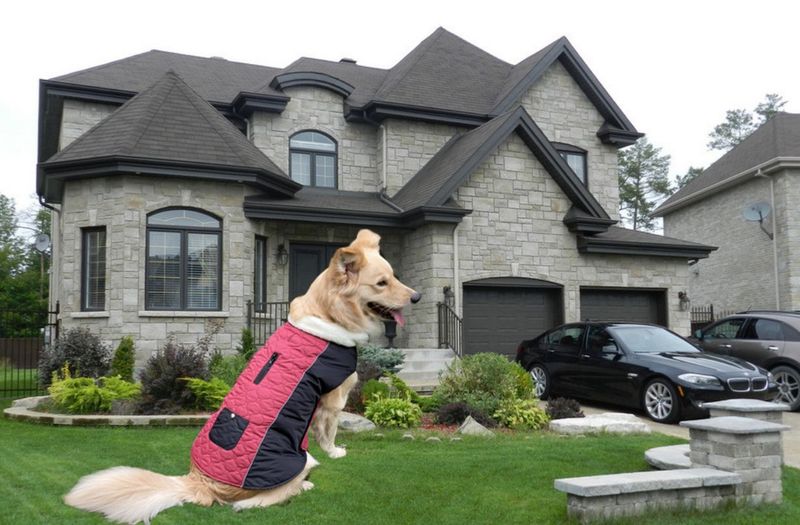 Pocket new pet clothes autumn and winter dog clothes vest cotton coat double sided wearable dog clothes coat clothing_voghion.com