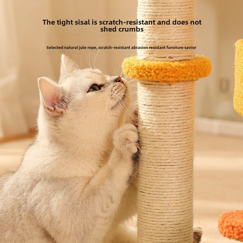 Marco de escalada interactivo para gatos con diseño divertido_voghion.com